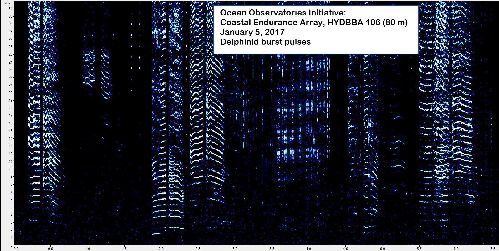 Spectrogram of an ocean dolphin (delphinid) burst pulse from the OOI Coastal Endurance Array