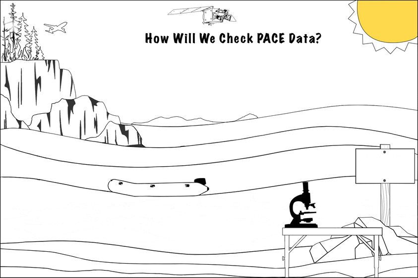 Checking PACE data coloring page