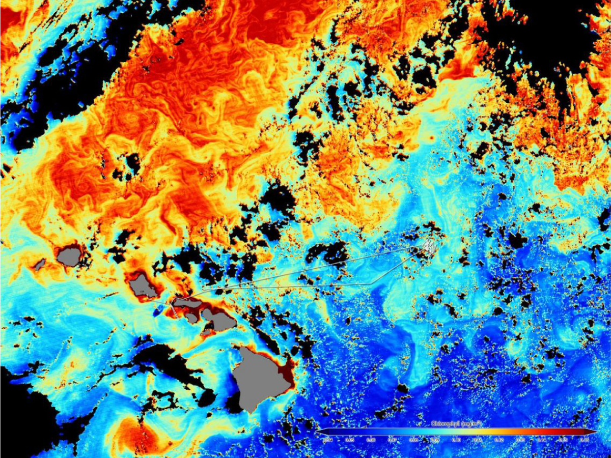 A satellite image shows the cruise track against a background of ocean color data