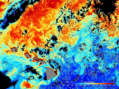 A satellite image shows the cruise track against a background of ocean color data. Colors indicate the amount of chlorophyll, where red is the highest and blue the is lowest. Credit: Norman Kuring (NASA)
