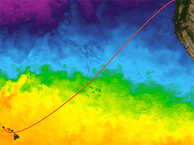 The R/V <em>Falkor</em> cruise track superimposed on a map of sea surface temperature. The cruise will take 28 days to sail from Honolulu, HI to Seattle, WA. Credit: PO.DAAC/NASA