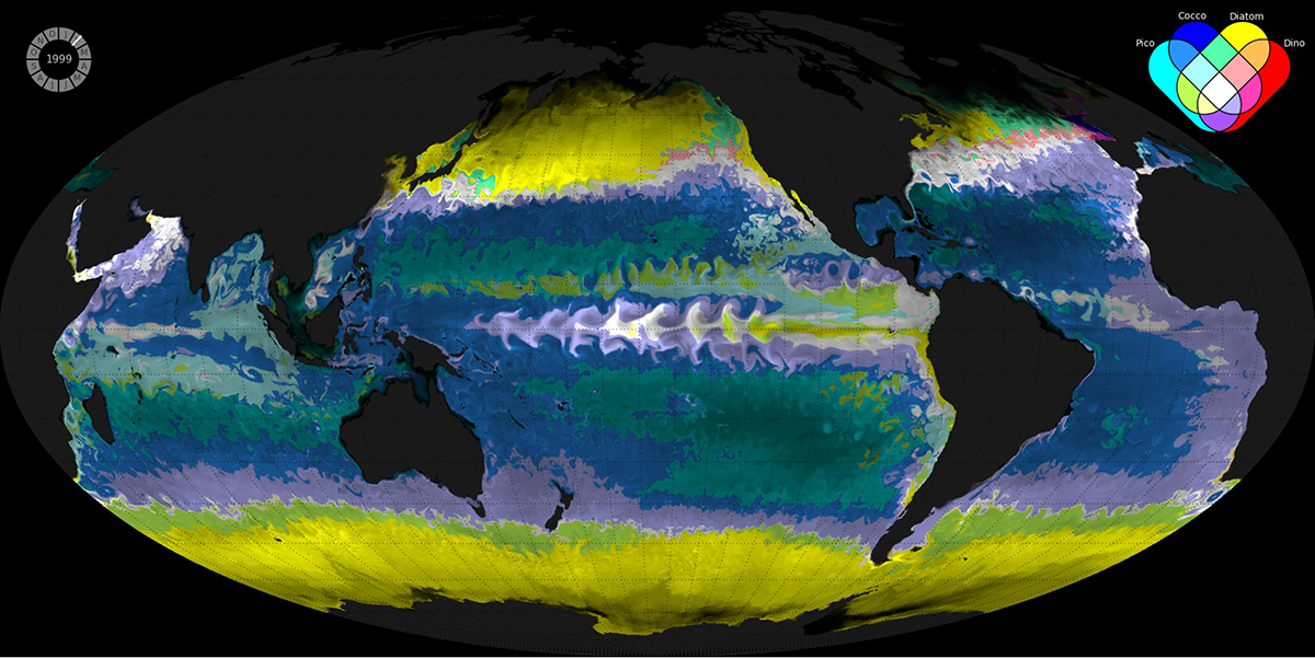 Darwin ocean ecosystem model driven by ECCO ocean circulation fields