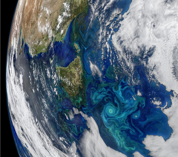 Phytoplankton bloom in the Tasman Sea