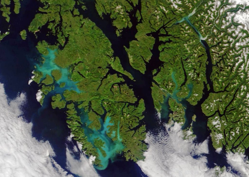 Milky blue water in this satellite view of Prince of Wales Island, AK is thought to be caused by a bloom of non-toxic phytoplankton known as coccolithophores.