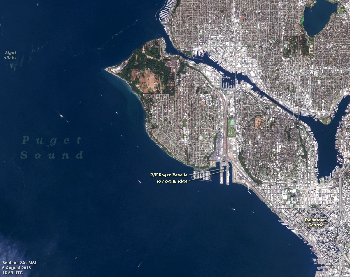 This Sentinel-2A view of Seattle, WA shows the R/V <em>Sally Ride</em> and the R/V <em>Roger Revelle</em> docked at Smith Cove.