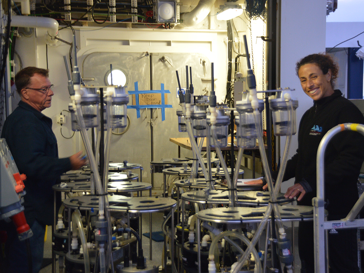 Steve Pike and Claudia Benitez-Nelson prepare filtration pumps for deployment. Samples are collected at specific depths and analyzed for microbial activity, pigments, and carbon soon after collection to minimize particle decay.