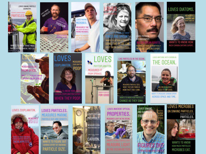 A mosaic of plankton lovers: Members of the EXPORTS team are shown on digital trading cards, created by Dr. Kim Martini for a NASA social media event.