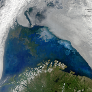 Barents Sea Bloom Transition