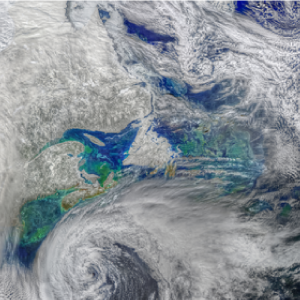 Early Spring in the NW Atlantic