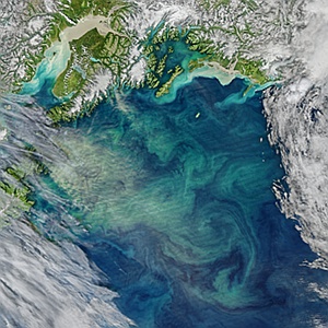 Gulf of Alaska