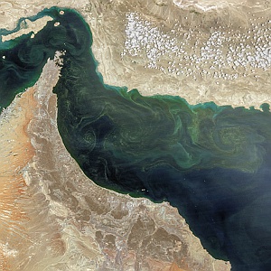 NW Arabian Sea