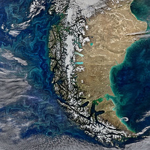 Patagonian Phytoplankton