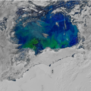 Southern Ocean Phytoplankton Blooms