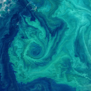 Summer Phytoplankton Communities around Patagonia
