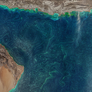 Western Arabian Sea