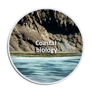 Coastal biology