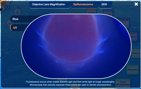 Phytopia interactive (An example of fluorescence under UV light