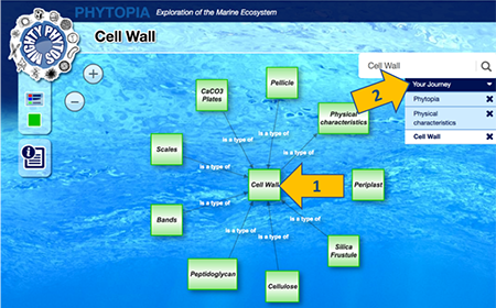 Phytopia interactive (cell wall types)