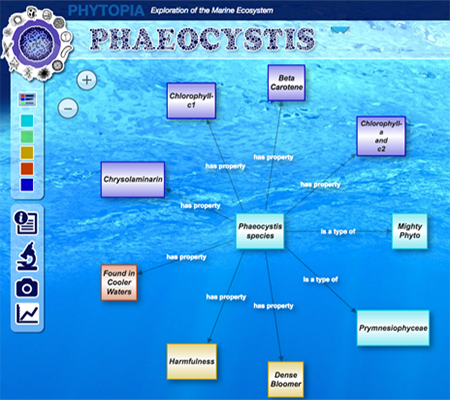 Phytopia interactive (green concepts hidden)