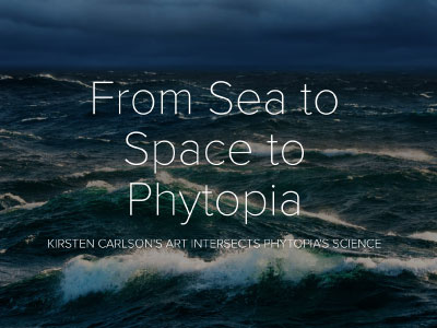 Kirsten Carlson, a scientific illustrator, was the Schmidt Ocean Institute’s Artist-at-Sea during the "Sea to Space Particle Investigation. Her illustrations depict Pacific Ocean plankton between Honolulu and Portland. Credit: NASA PACE