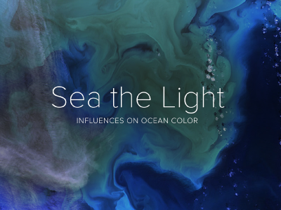 PACE will help better identify phytoplankton communities from space. Its novel technology will keep a sharp eye on the health of our ocean. This e-brochure explains the ways PACE can differentiate between groups of plankton, based on the way they absorb, scatter or reflect light.