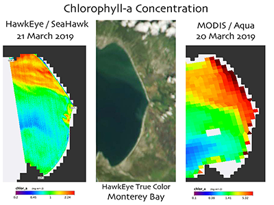 Left: Scaled chlorophyll-a retrievals for Monterey Bay, as measured by the HawkEye sensor on Seahawk. Center: A true color image of Monetery Bay, captured by HawkEye. Right: Chlorophyll-a data measured by MODIS/Aqua one day earlier. Credit: NASA GSFC