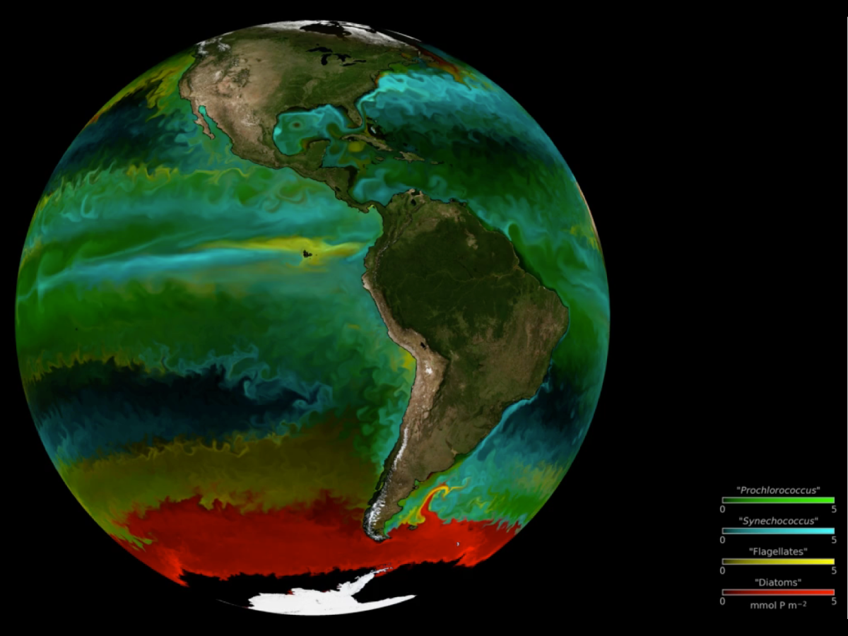 Location of phytoplankton using a high-resolution model